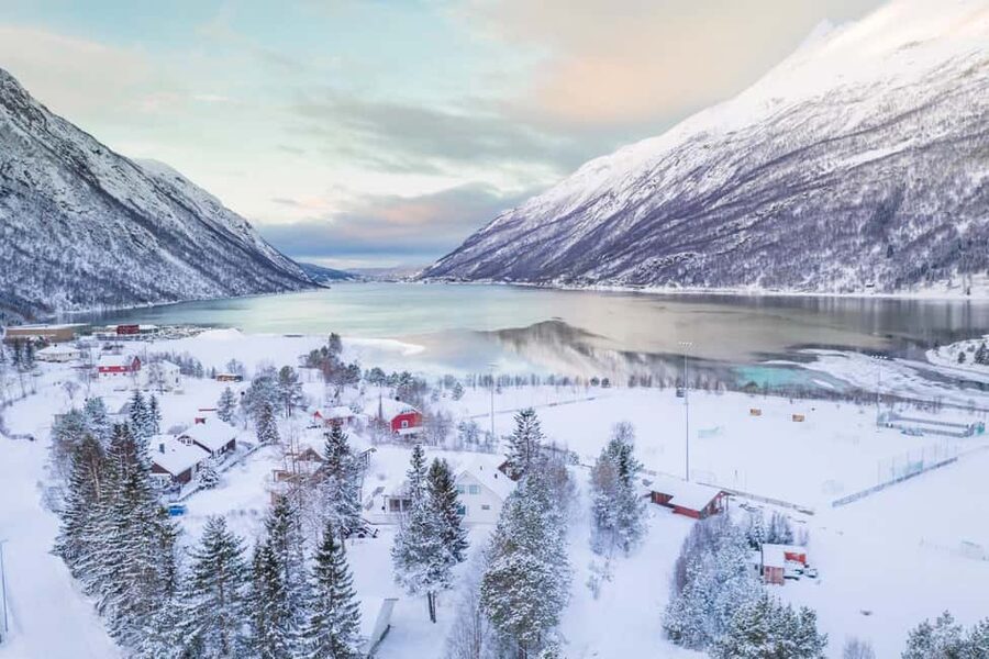 From Abisko: Narvik City and Fjord Day Trip - Small-group comfort, and why it matters for winter driving