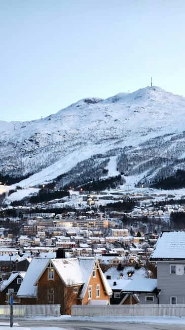 From Abisko: Narvik City and Fjord Day Trip - The scenic road game: where the best photos usually come from