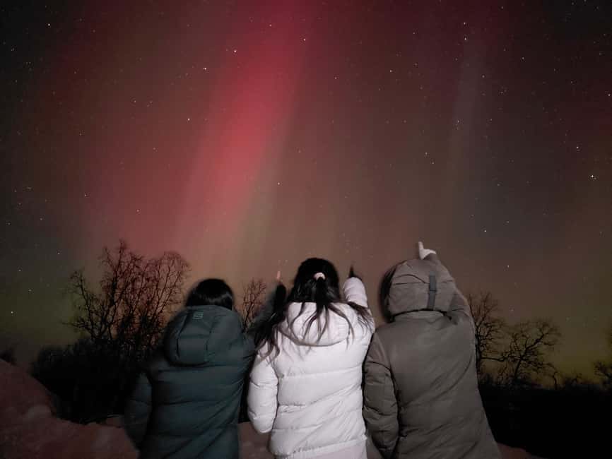 From Kiruna: Abisko National Park Northern Lights Tour - The Real “Plan”: Multiple Stops and a Guide Who Won’t Give Up