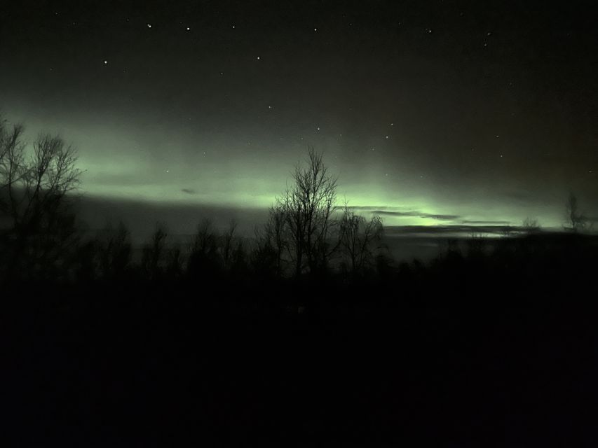 From Kiruna: Abisko National Park Northern Lights Tour - What to Bring (No Snowsuit Included) and How Not to Freeze
