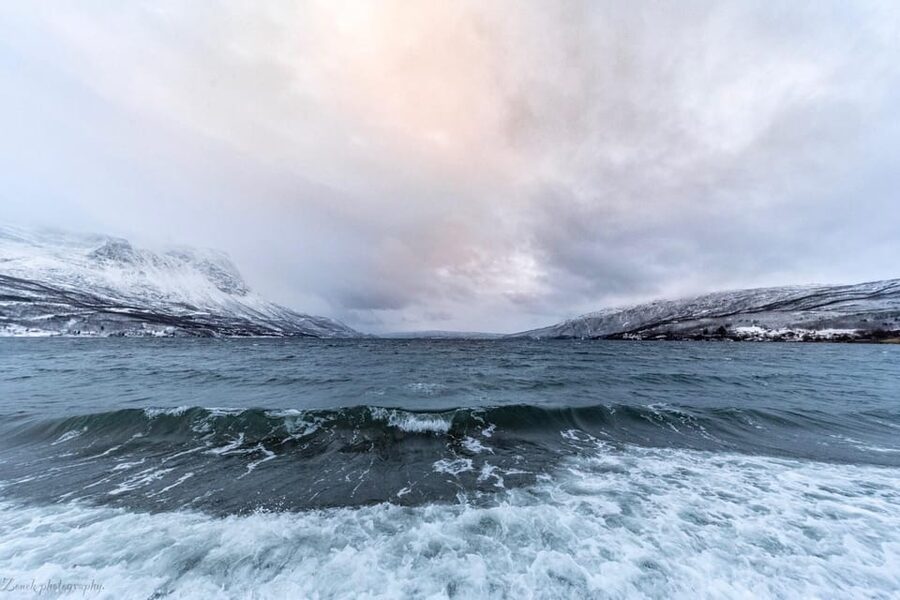 From Kiruna: Narvik City and Fjord Day Trip - Narvik: More Than a Drop-Off, With City Stories That Give Context