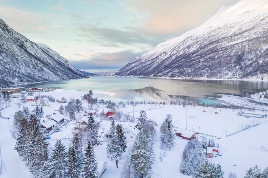 From Kiruna: Narvik City and Fjord Day Trip - The Narvik Fjord: Multiple Vantage Points and That Slow, Serene Feeling