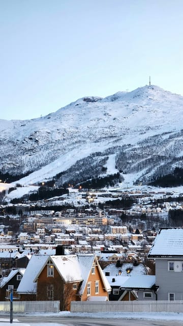 From Kiruna: Narvik City and Fjord Day Trip - Pickup From Kiruna: Timing, Comfort, and Why It Matters