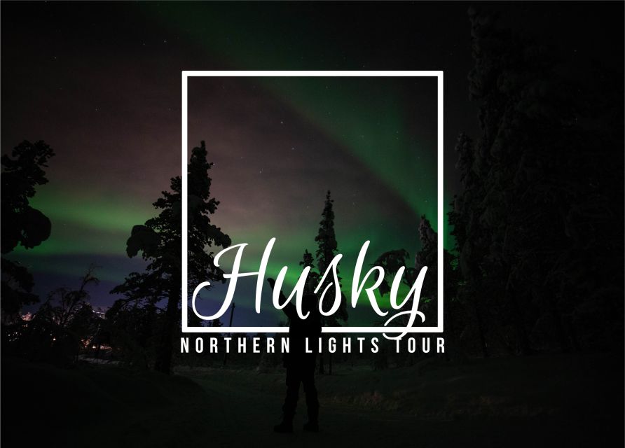 From Kiruna: Northern Lights Guided Husky Sledding Adventure - Why This Husky Sled Ride Feels Like the Real Thing