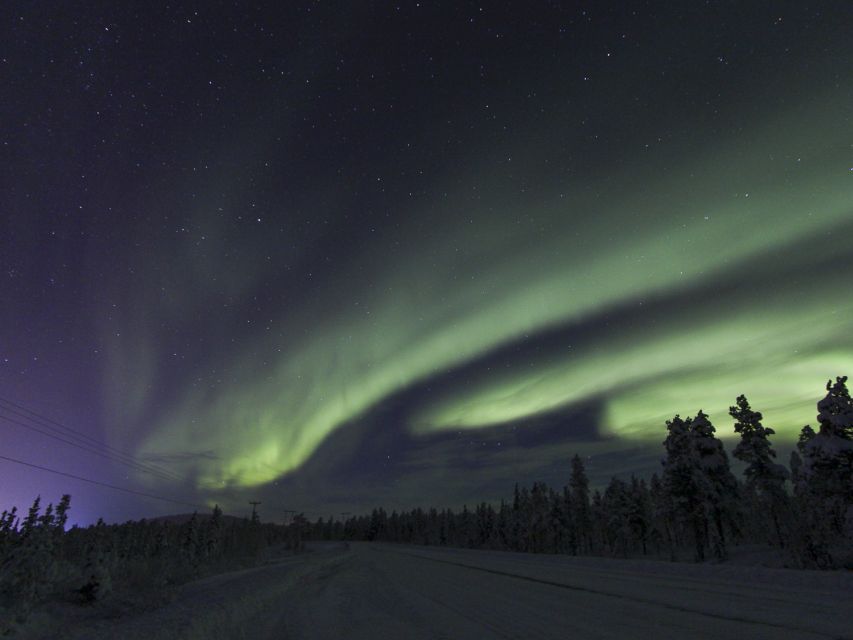 From Kiruna: Northern Lights Guided Husky Sledding Adventure - Safety Briefing at the Base: Harnessing and Steering First