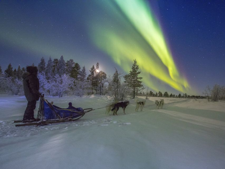 From Kiruna: Northern Lights Guided Husky Sledding Adventure - Kalixforsbron Wind-Down: Nordic Tipi, Coffee, and Fika