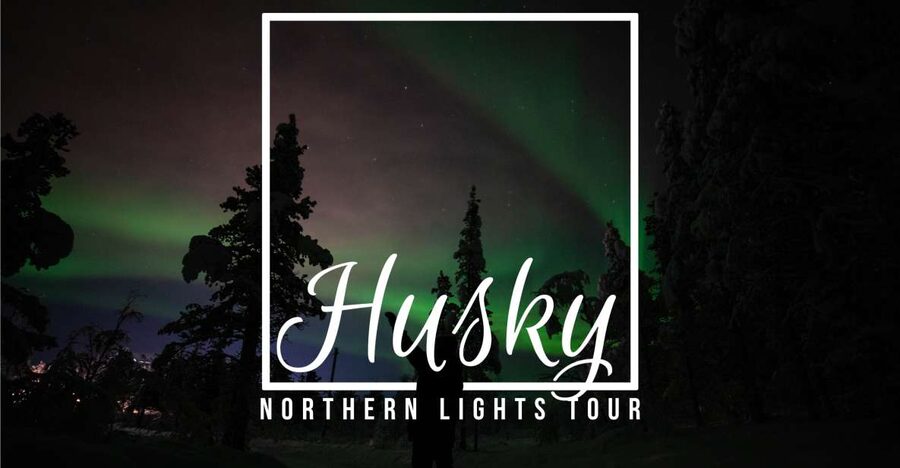 From Kiruna: Northern Lights Guided Husky Sledding Adventure - Pickup in Kiruna, Then Straight to Kalixforsbron