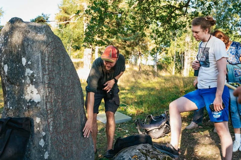 From Stockholm: Moose & Wildlife Safari with Campfire Dinner - From Stockholm to the Green Trails basecamp, fast and easy