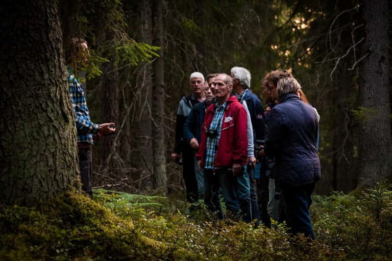From Stockholm: Moose & Wildlife Safari with Campfire Dinner - Who this safari is best for