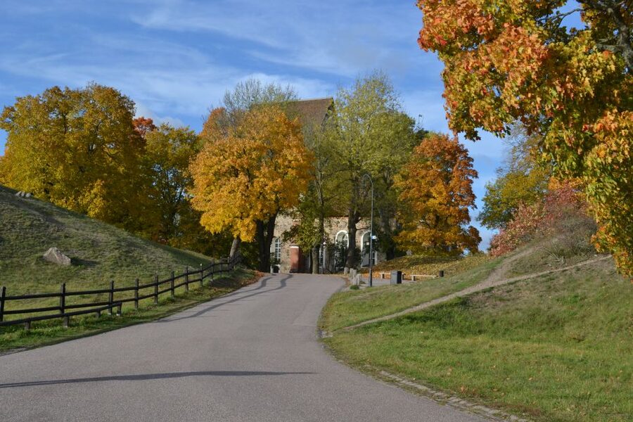 From Stockholm: Uppsala and Sigtuna Viking Sites Tour - Price and logistics, is $235 worth it for a 9-hour history day?