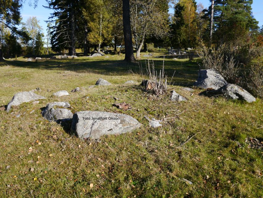 From Stockholm: Viking Culture and Heritage Small Group Tour - Arkils tingstad: seeing the remains of a Viking Age parliament
