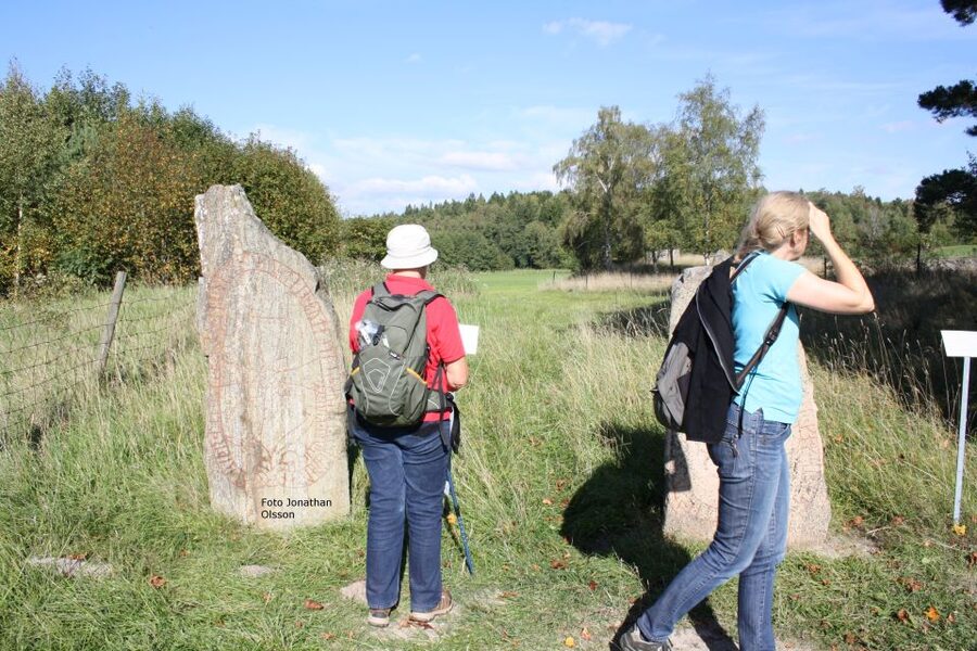 From Stockholm: Viking Culture and Heritage Small Group Tour - Best fit: who this Viking tour will click with