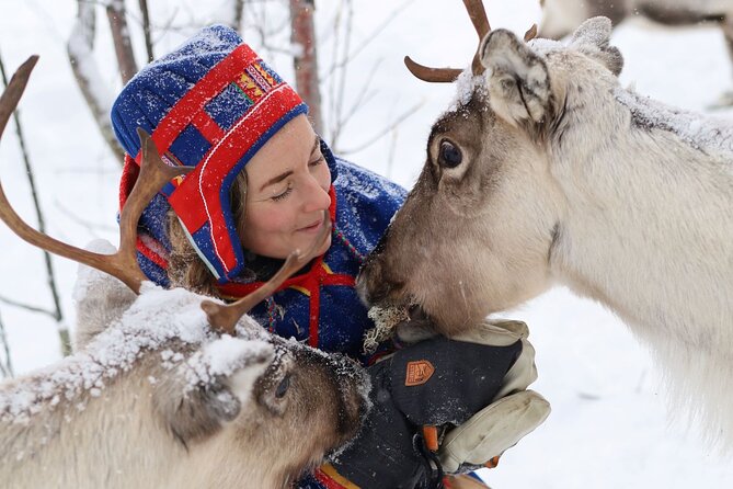 Full-Day Reindeer Tour with Pickup in Kiruna - Key things worth knowing before you go
