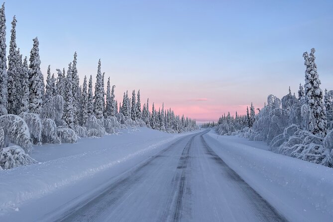 Full-Day Reindeer Tour with Pickup in Kiruna - Becoming a reindeer herder for the day, with Frederik’s guidance
