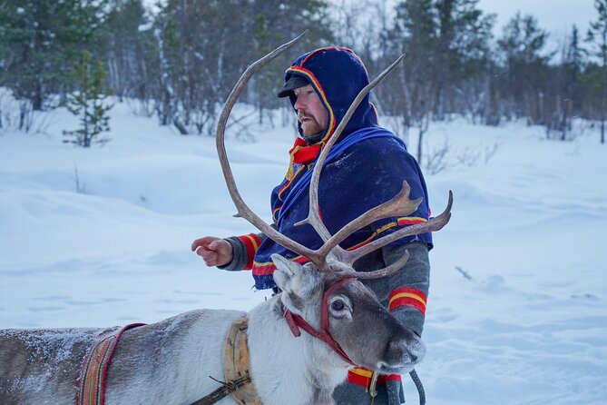 Full-Day Reindeer Tour with Pickup in Kiruna - Lunch in a Sami traditional tent: warm food, real flavors