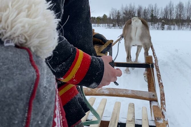 Full-Day Reindeer Tour with Pickup in Kiruna - Weather rules and the -27°C safety cutoff