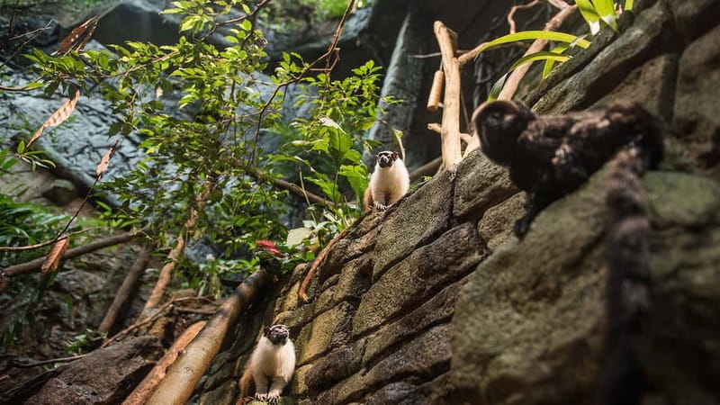 Gothenburg: Universeum Entry Ticket - Key highlights you should know before you go