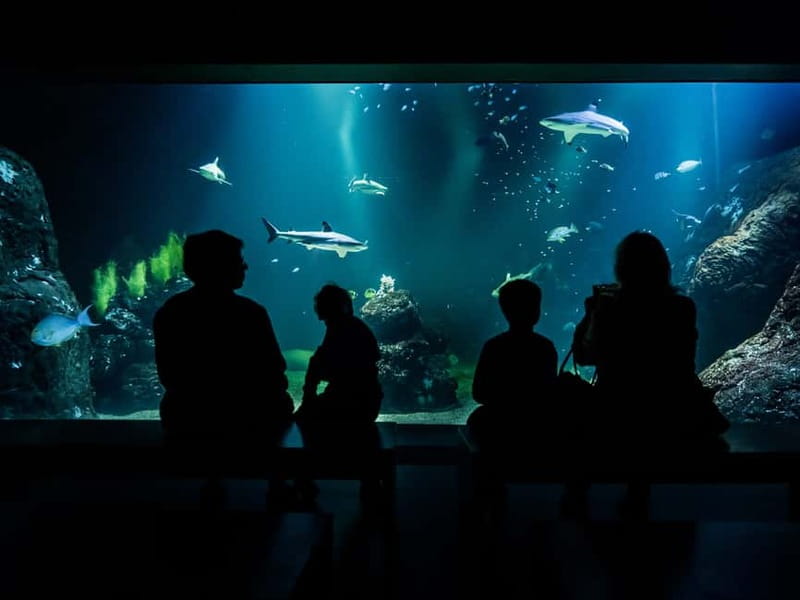 Gothenburg: Universeum Entry Ticket - Ocean Zone aquarium: the fastest way to grab attention