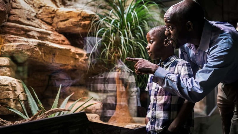 Gothenburg: Universeum Entry Ticket - Rainforest safari: humidity, wooden bridges, and animal moments