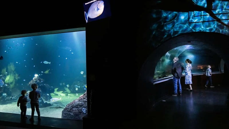 Gothenburg: Universeum Entry Ticket - Tickets, timing, and how to avoid friction at the entrance