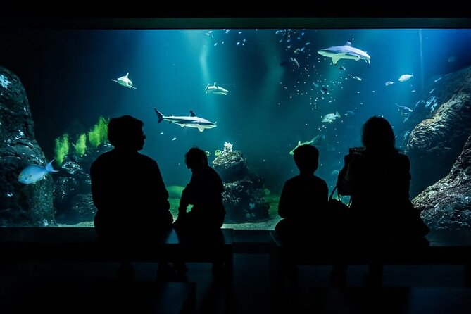 Gothenburg Universeum Ticket - Aquarium, Science, Wildlife, Zoo - What you actually get with this ticket, and why it matters