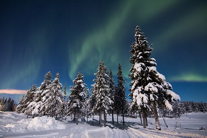 Guided Northern Lights Tour at Kiruna - Price and value: what $192.59 buys you in practice