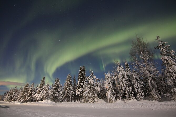 Guided Northern Lights Tour at Kiruna - Getting the best chance: how you should prepare as the guest