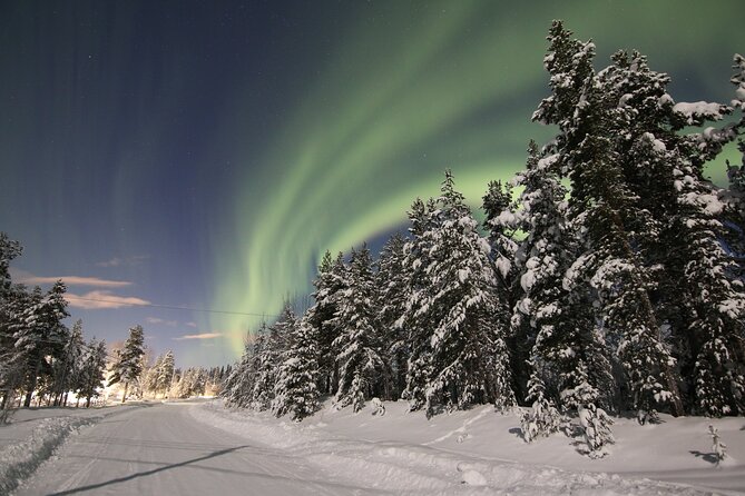 Guided Northern Lights Tour at Kiruna - The aurora chase: what guides actually do within 125 km of Kiruna
