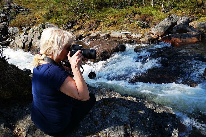 Half day Wildlife and Nature Photography - Your guide, and why local Sami seasonal knowledge matters