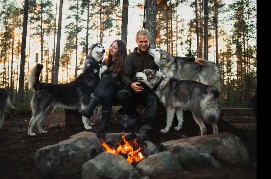 Husky hike followed by a campfire near Skellefteå - Getting Started: Harnessing, Dog Introductions, and First Cuddles