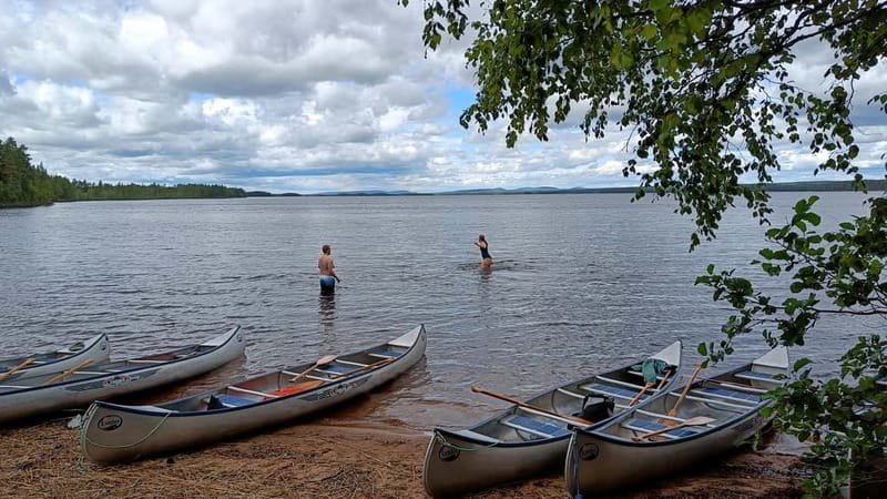 Johannisholm: Guided Canoe Tour on Lake Venjanssjön - The water-lily lagoon stop: why it feels special