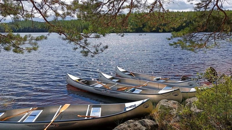 Johannisholm: Guided Canoe Tour on Lake Venjanssjön - Gear, safety, and how the paddling instruction works