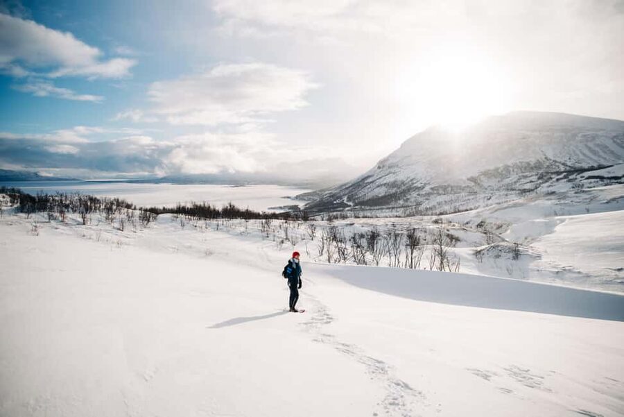 Kiruna: Daytime Snowshoe Hike - Key takeaways you will care about