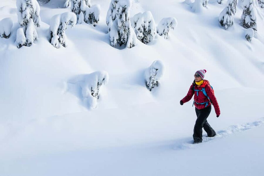 Kiruna: Daytime Snowshoe Hike - Spotting Arctic life: tracks, reindeer, and fox odds