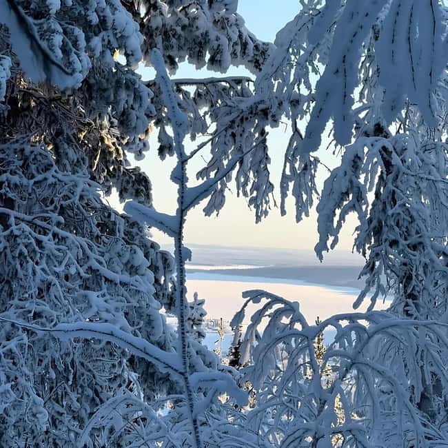 Kiruna: Daytime Snowshoe Hike - Daytime timing: a good fit for non-night activities