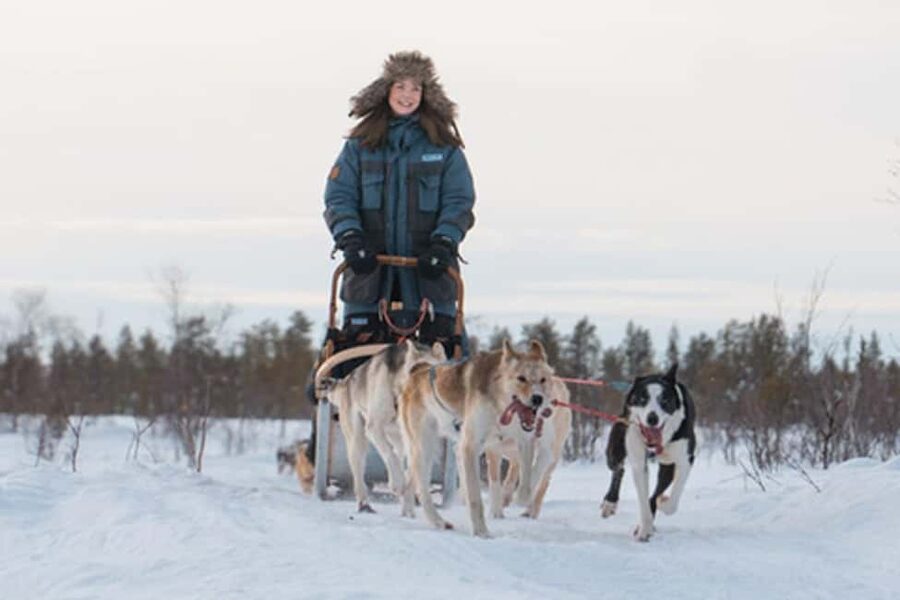 Kiruna: Drive Your Own Team Lunch Tour - Key Highlights at a Glance