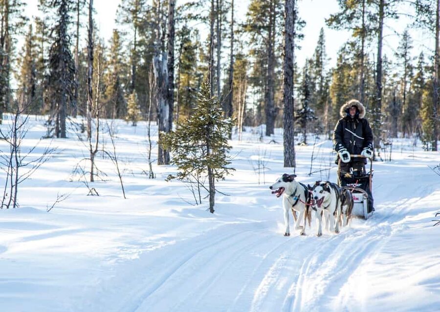 Kiruna: Drive Your Own Team Lunch Tour - Warm Winter Gear and What You Still Need to Bring