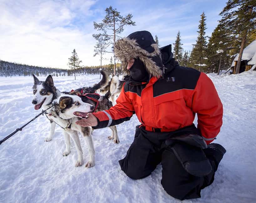 Kiruna: Drive Your Own Team Lunch Tour - Who Should Book This Tour (and Who Might Not)