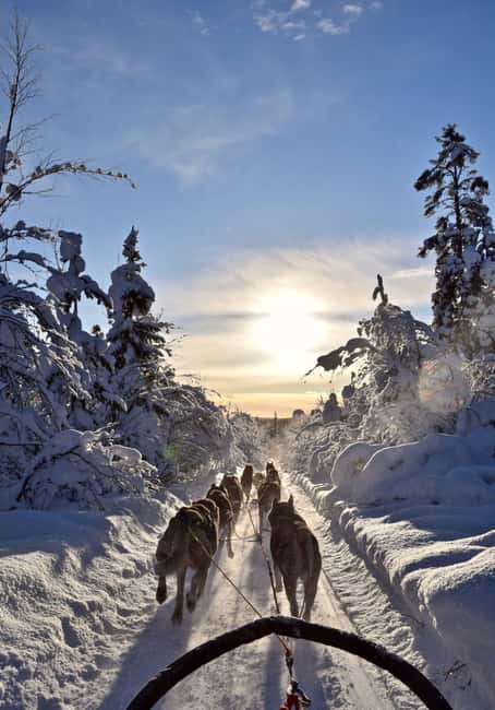 Kiruna: Family-friendly Short Husky Tour with Coffee - What happens during the husky sled part