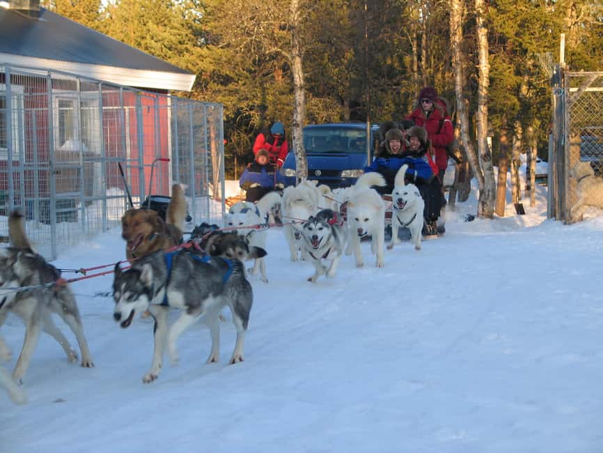 Kiruna: Family-friendly Short Husky Tour with Coffee - Price and value: is $180 fair for what you get?