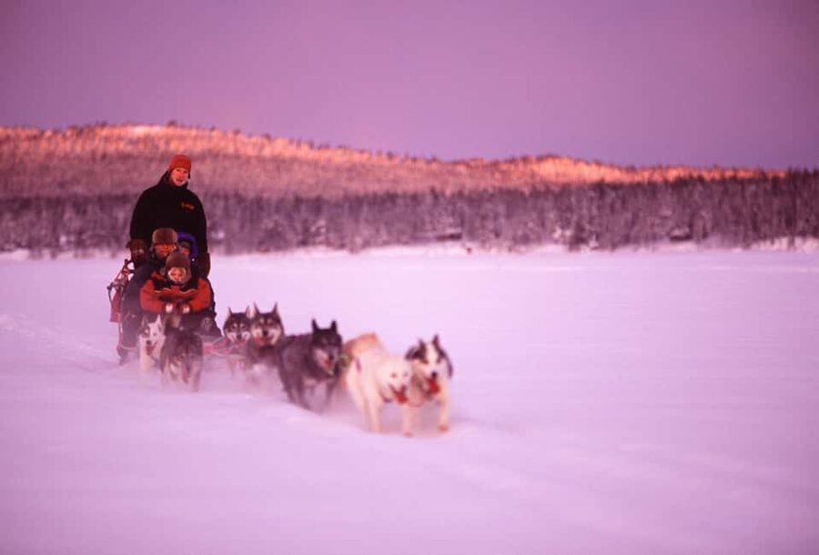 Kiruna: Family-friendly Short Husky Tour with Coffee - Timing and transfers: how you avoid losing the day