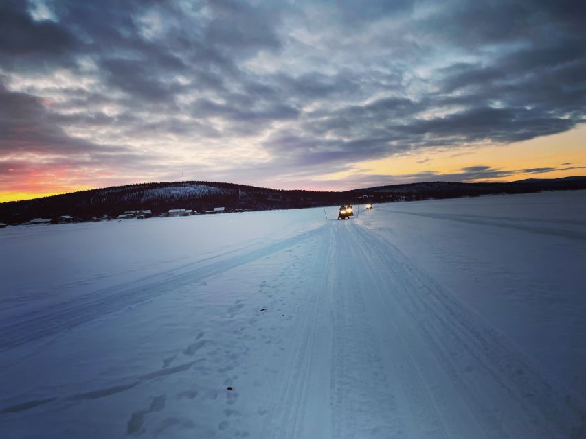 Kiruna: Guided Snowmobile Tour and Swedish Fika Experience - Wildlife Odds: What You Might See, and How to Handle It