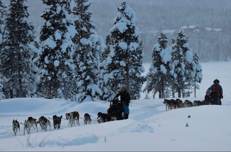 Kiruna: Morning Husky Sled Ride with Coffee Break - Winter Clothes and Boots: A Big Value Point