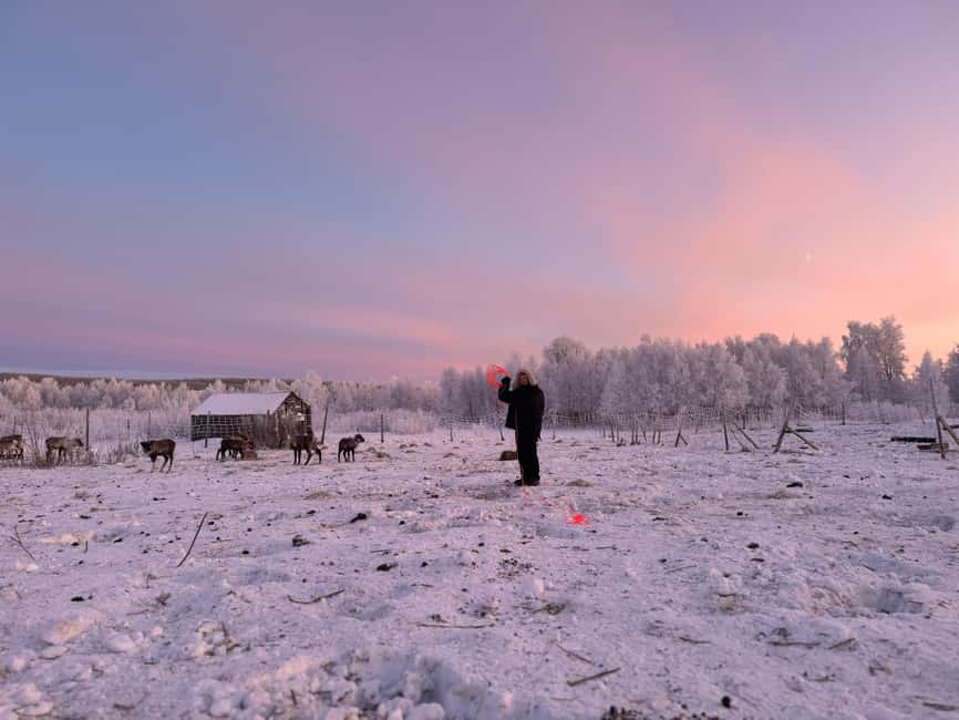 Kiruna: Reindeer Feeding Tour and Sámi Culture with Minibus - Kiruna to Övre-Soppero: why this setting feels different
