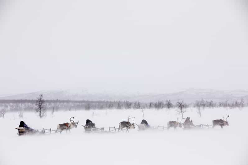 KIRUNA: Reindeer Sled Ride in the Countryside - What to Pack and Wear in Kiruna Winter (So You Enjoy It)