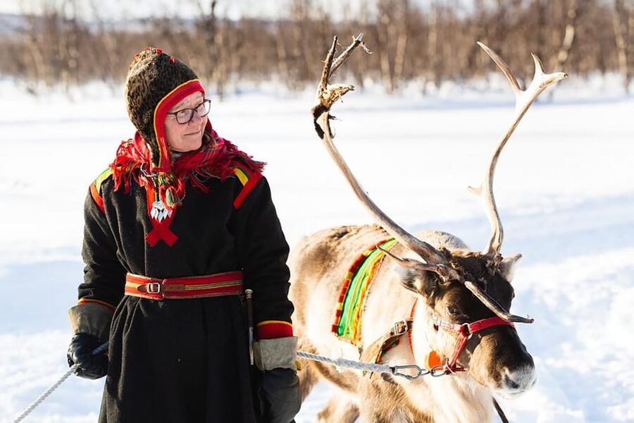 KIRUNA: Sami Reindeer Experience - Why the Sami Reindeer Day Around Kiruna Feels Personal