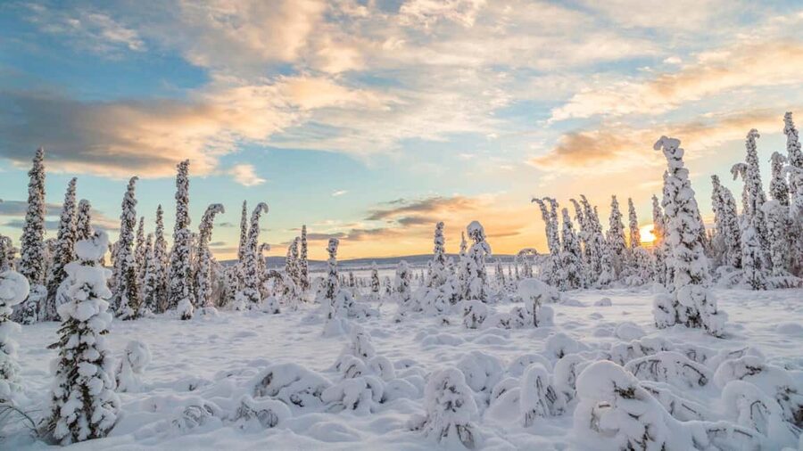 Kiruna: Small-Group Daytime Snowmobile Adventure in Lapland - What You Really Get in 3 Hours Around Kiruna