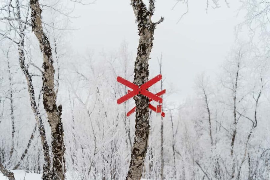 Kiruna: Small Group Snowmobile with Snacks - Why This Torne River Snowmobile Ride Feels More Personal