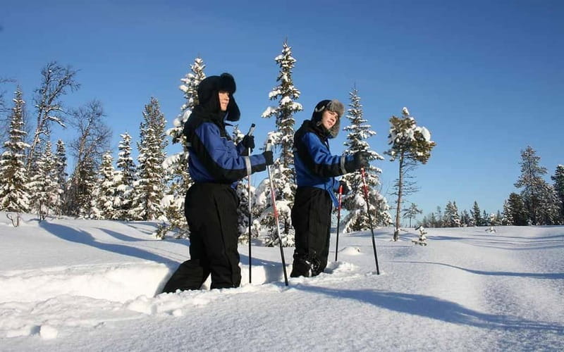 Kiruna: Snowshoe Trek with Warm Beverage and Sandwich - Key things that make this Kiruna snowshoe trek worth it