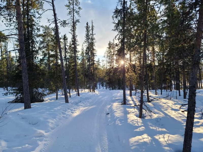 Kiruna: Snowshoe Trek with Warm Beverage and Sandwich - Why Kiruna Snowshoeing Feels Like More Than a Walk in the Snow